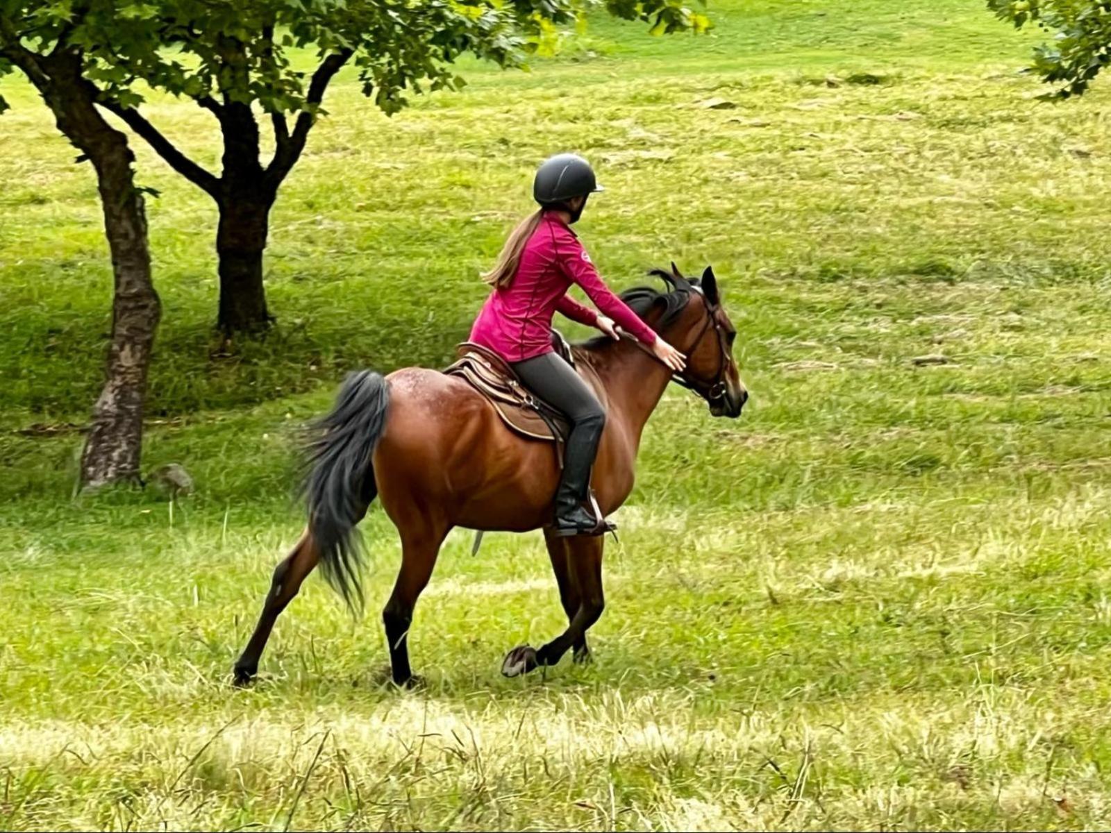Stone Creek Mountain Lodge ดัลสทรูม ภายนอก รูปภาพ