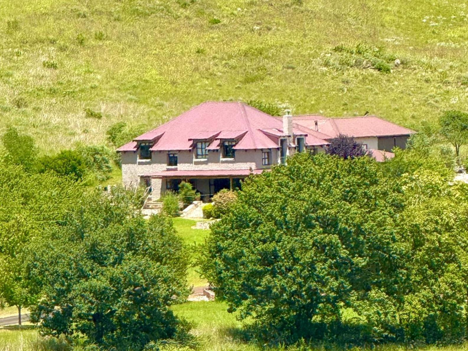 Stone Creek Mountain Lodge ดัลสทรูม ภายนอก รูปภาพ